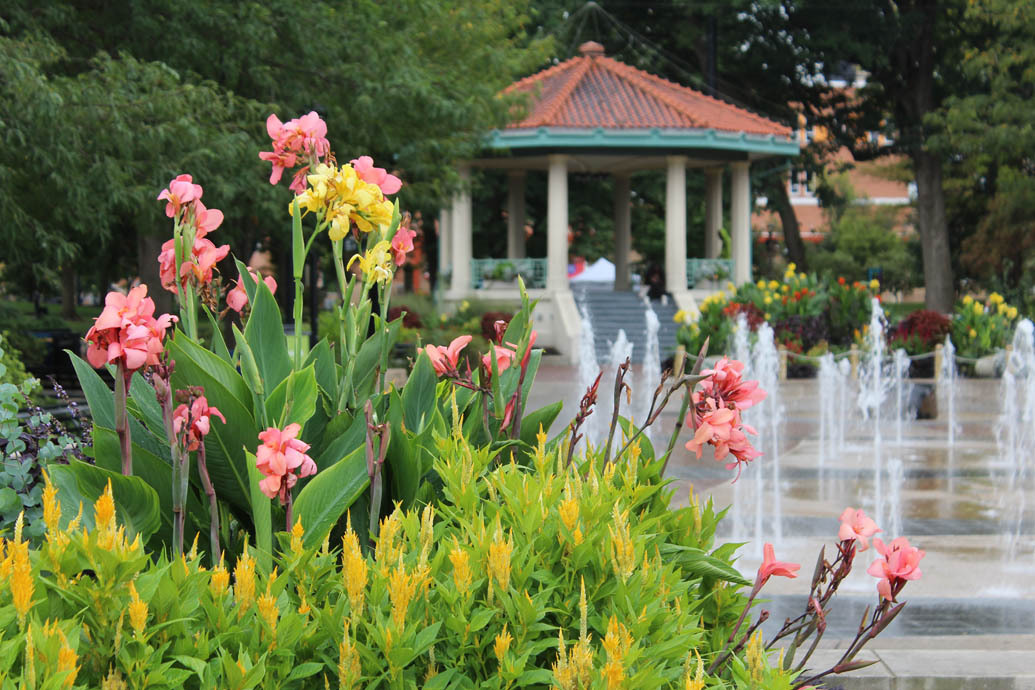 The Gazebo